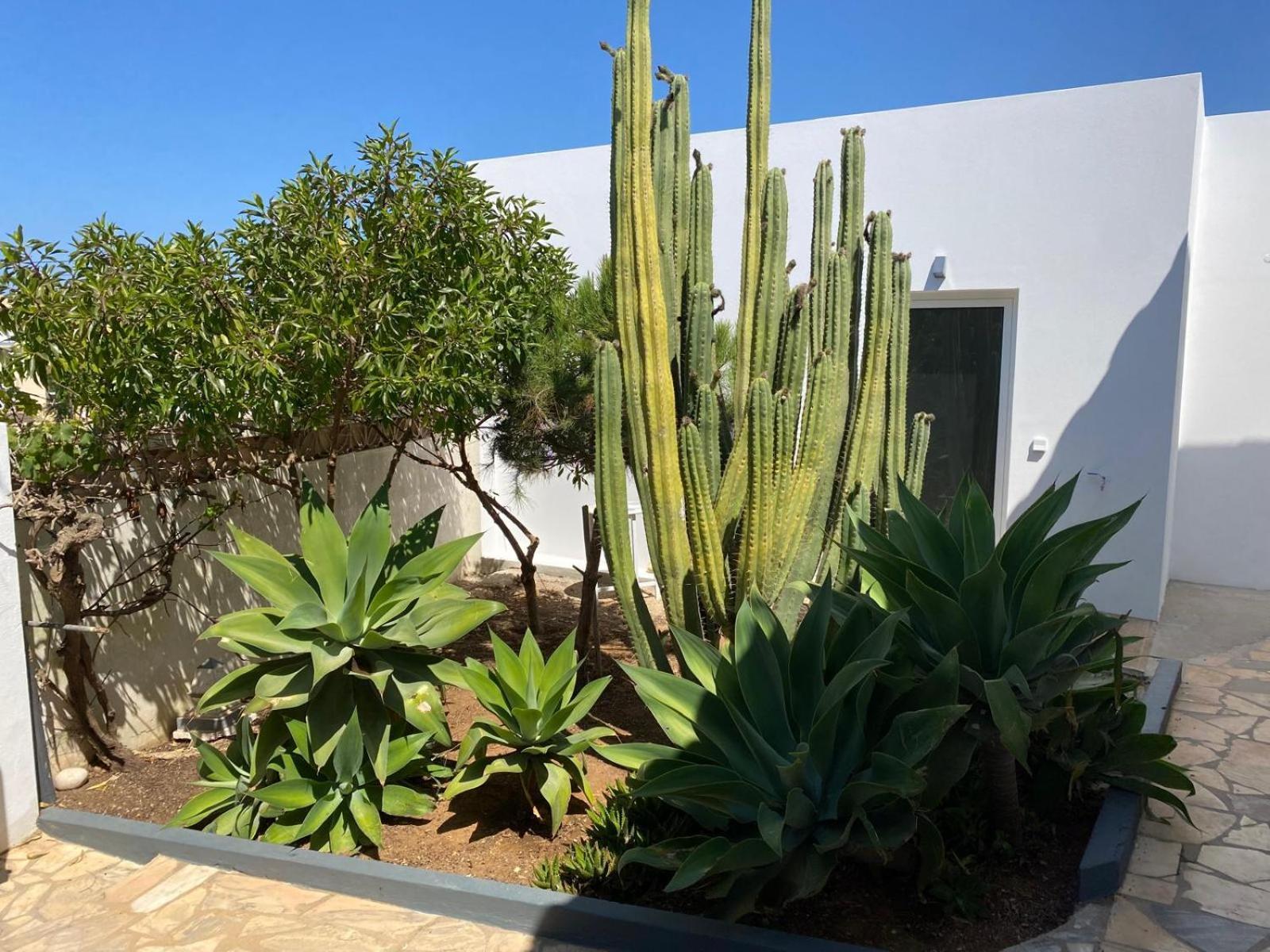 Ferienwohnung Casa La Isla Sagres Exterior foto